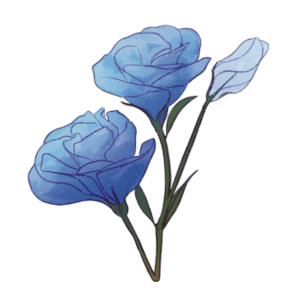 lisianthus opharia